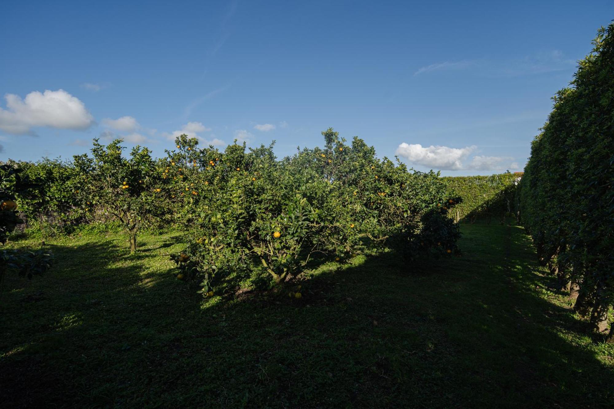 Quinta Do Ferreiro