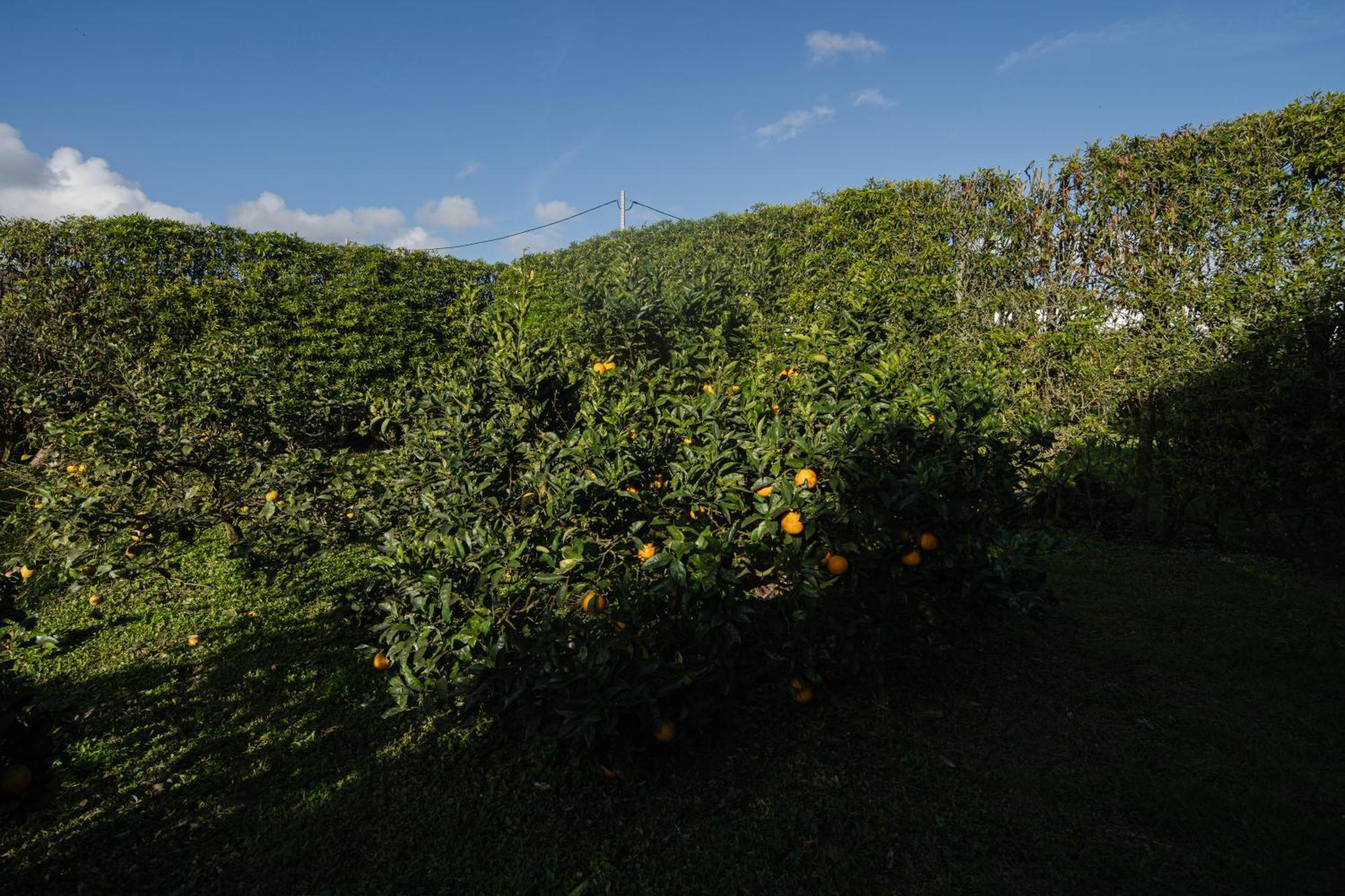 Holiday home Quinta Do Ferreiro *